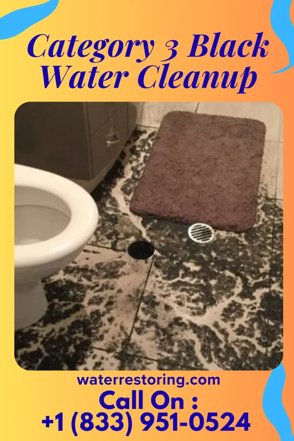 Category 3 Black Water Cleanup in Plainsboro Center, NJ