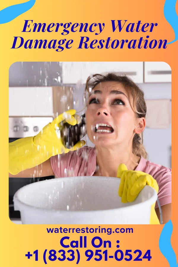 Emergency Water Damage Restoration in Plainsboro Center, NJ