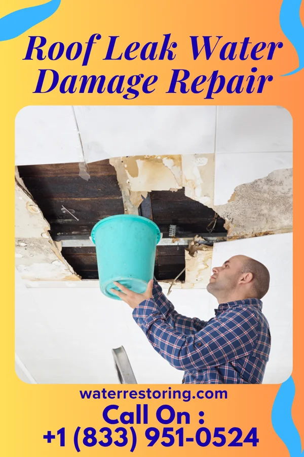 Roof Leak Water Damage Repair in Plainsboro Center, NJ