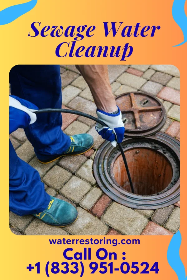 Sewage Water Cleanup in Plainsboro Center, NJ